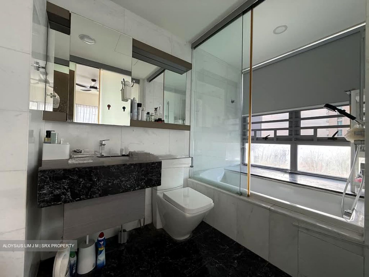 Starlight Suites (D9), Apartment #561018281